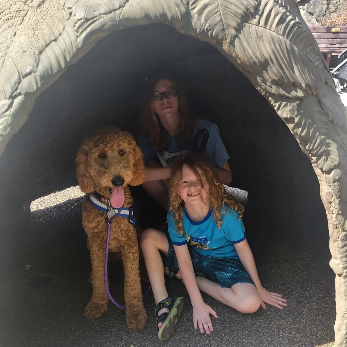 Children with a service dog at a Fundamentally Awesome event